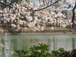 slovenia-netherlands-spring-copywriter-collective