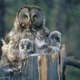have-laugh-copywriter-collective