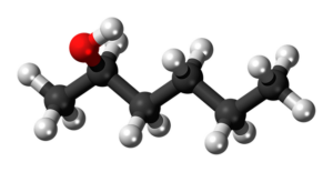 Nootropics for writers