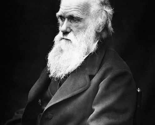 learn-from-charles-darwin-copywriter-collective