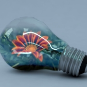 new-creative-person-copywriter-collective