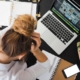 headache-proof-copywriting-career-copywriter-collective