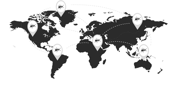 work-copywriter-collective work-copywriter-collective