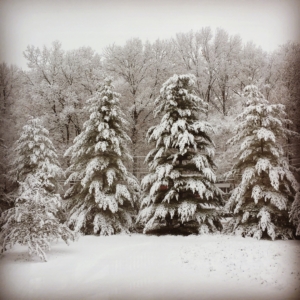 winter