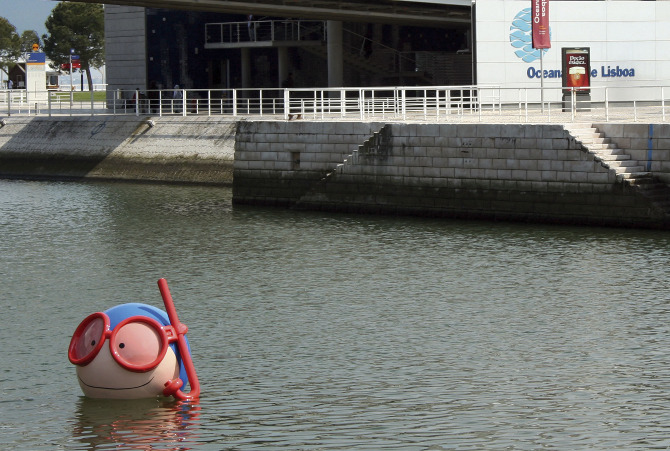 aquarium-cesar-portuguese-copywriting-lisbon-portugal-copywriter-collective aquarium-cesar-portuguese-copywriting-lisbon-portugal-copywriter-collective