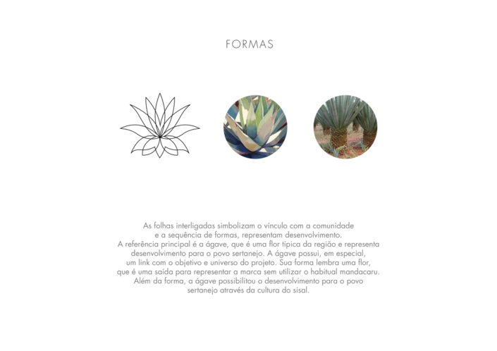 flowers-savio-portuguese-copywriting-fortaleza-copywriter-collective flowers-savio-portuguese-copywriting-fortaleza-copywriter-collective