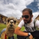 marco-brazilian-copywriting-sao-paulo-brazil-copywriter-collective