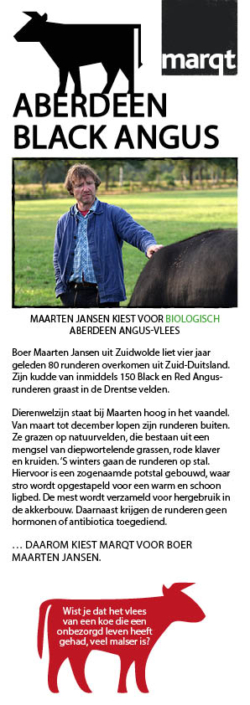 marqt-boy-dutch-copywriting-amsterdam-netherlands-copywriter-collective