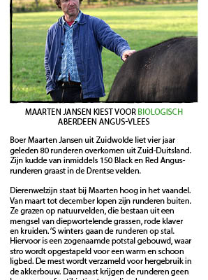 marqt-boy-dutch-copywriting-amsterdam-netherlands-copywriter-collective