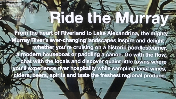 murray-river-steve-australian-copywriting-adelaide-australia-copywriter-collective