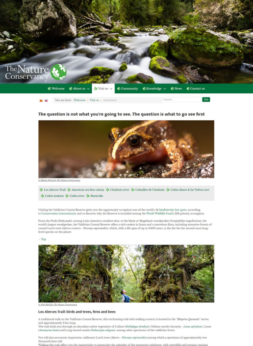 nature-conservancy-gerard-dutch-copywriting-santiago-spain-copywriter-collective