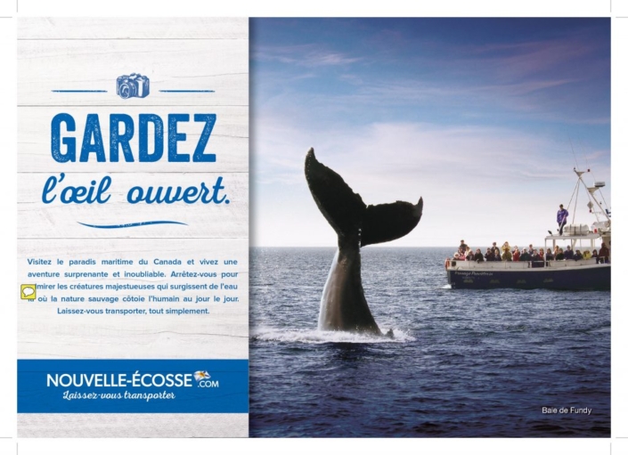 nouvelle-écosse-maryse-french-copywriting-montreal-canada-copywriter-collective nouvelle-écosse-maryse-french-copywriting-montreal-canada-copywriter-collective