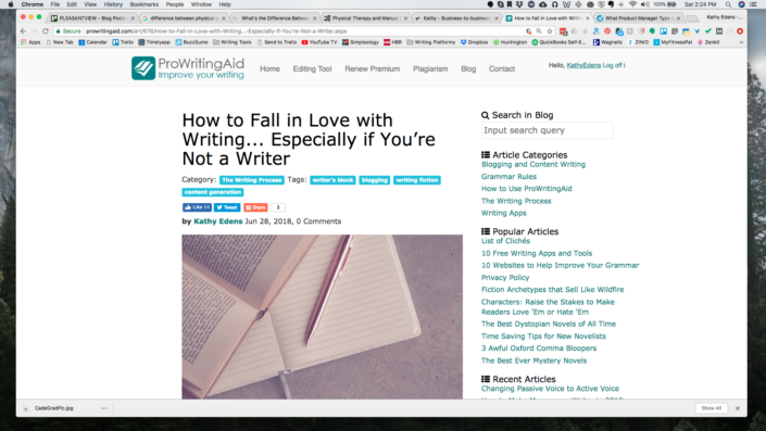 pro-writing-aid-kathy-american-copywriting-canal-winchester-us-copywriter-collective pro-writing-aid-kathy-american-copywriting-canal-winchester-us-copywriter-collective