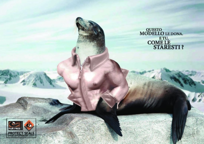 protect-seals-elisa-italian-copywriting-treviso-italy-copywriter-collective protect-seals-elisa-italian-copywriting-treviso-italy-copywriter-collective