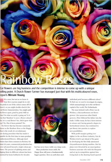 rainbow-roses-miriam-english-copywriting-haarlem-netherlands-copywriter-collective Miriam English Copywriter Harrlem Copywriter Collective