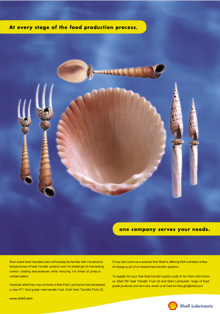 shell-cathy-english-copywriting-maarssen-copywriter-collective shell-cathy-english-copywriting-maarssen-copywriter-collective