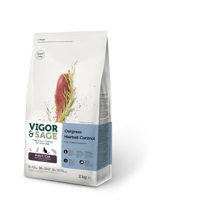 vigor-sage-paul-english-copywriting-amsterdam-netherlands-copywriter-collective