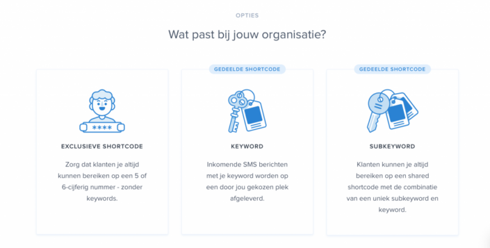 website-boy-dutch-copywriting-amsterdam-netherlands-copywriter-collective