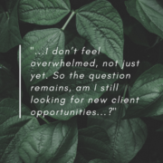 client-opportunities-demanding-workload-copywriter-collective