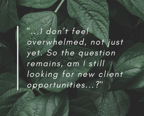 client-opportunities-demanding-workload-copywriter-collective