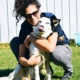 dog-school-tanya-bulgarian-copywriting-sofia-bulgaria-copywriter-collective