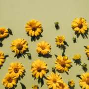 best-recruiter-copywriter-collective
