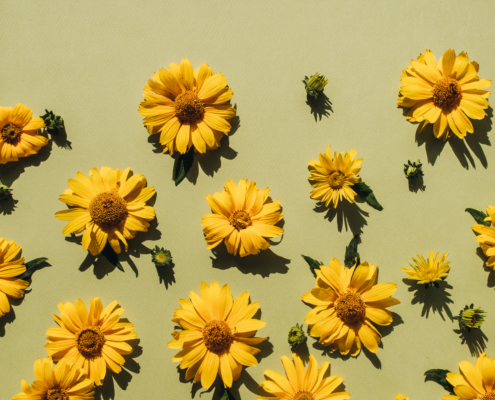 best-recruiter-copywriter-collective