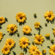 best-recruiter-copywriter-collective