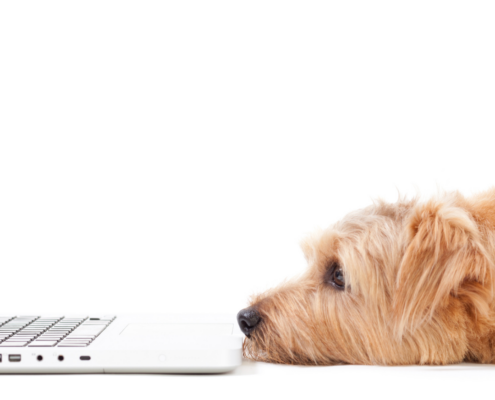 professional-website-copywriter-collective