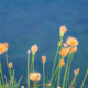 technology-digital-marketing-copywriter-collective