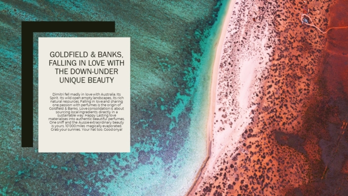 goldfield-laurence-swiss-geneva-switzerland-copywriter-collective goldfield-laurence-swiss-geneva-switzerland-copywriter-collective