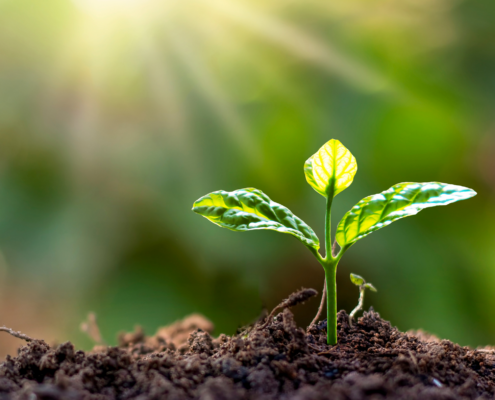 sustainable-marketing-content-copywriter-collective