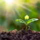 sustainable-marketing-content-copywriter-collective