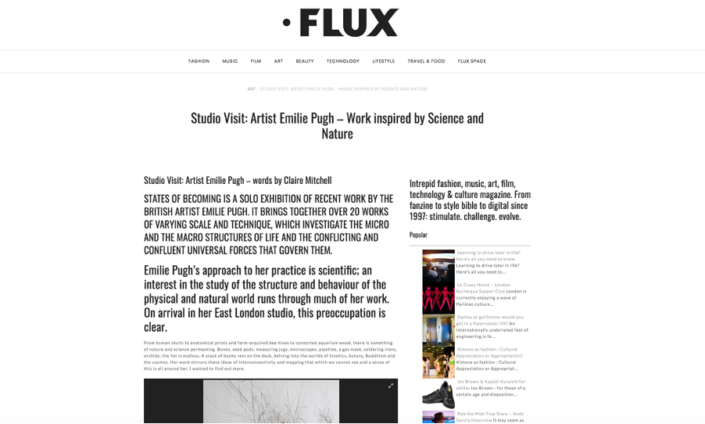 Flux-claire-english-copywriter-devon-copywriter-collective