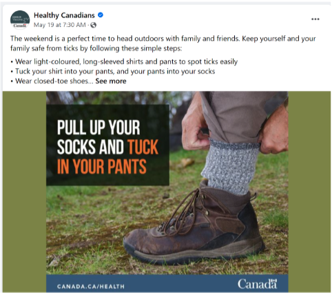 health-canada-anita-copywriter-canada-copywriter-collective Health Canada Anita Copywriter Canadá Copywriter Collective