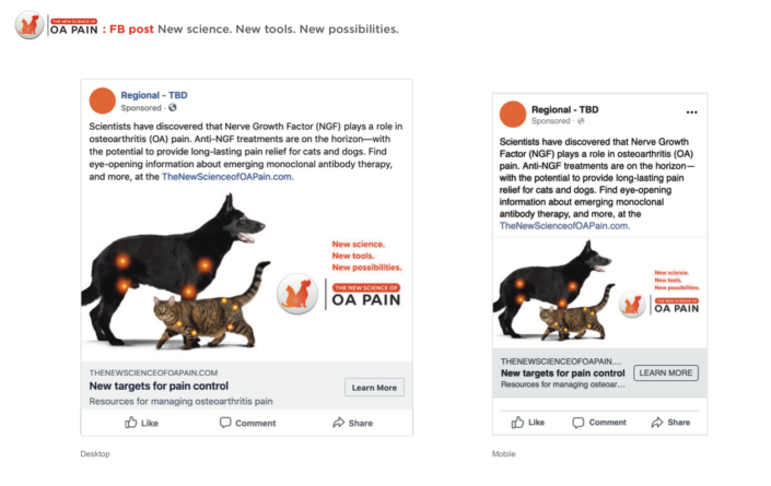 oa-pain-loren-american-copywriter-collective OA Pain Loren American Copywriter Collective