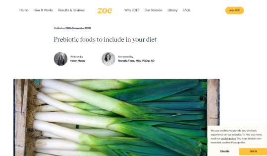 prebiotic-food-zoe-hellen-english-copywriter-uk-copywriter-collective Zoe Hellen English Copywriter UK Copywriter Collective