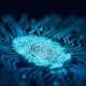 why-is-identity-verification-important-in-freelancer-and-contractor-hiring-copywriter-collcective