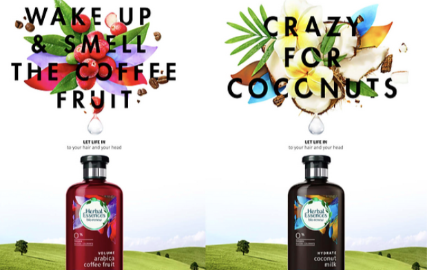 herbal-essence-02-nicole-american-copywriter-austin-copywriter-collective Herbal Essence Nicole American Copywriter Austin Copywriter Collective